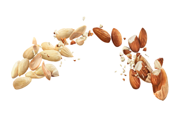 Ametlla pelada - Unió