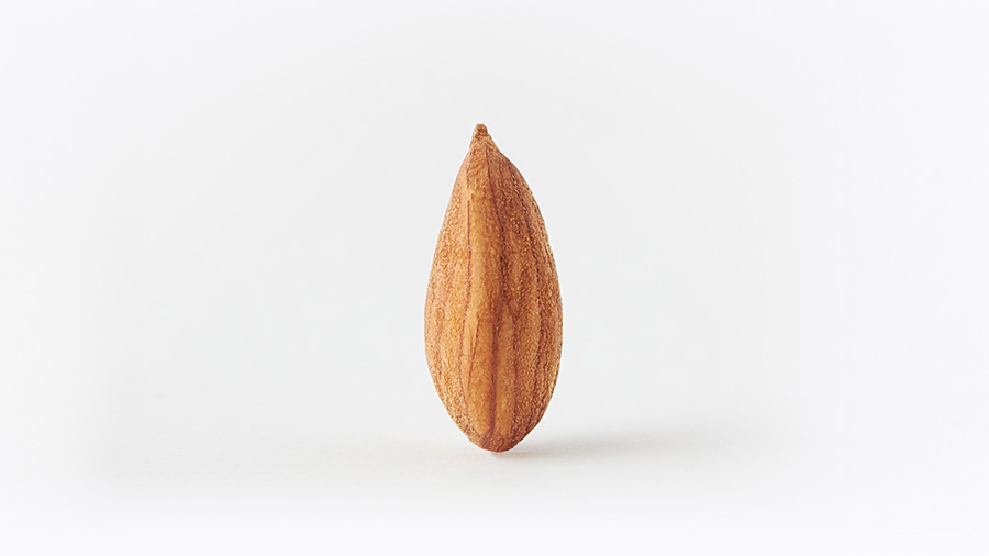 Ametlla Belona - Unió