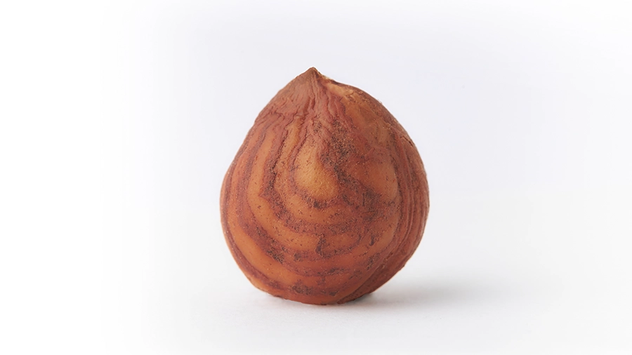 Avellana Negreta - Unió